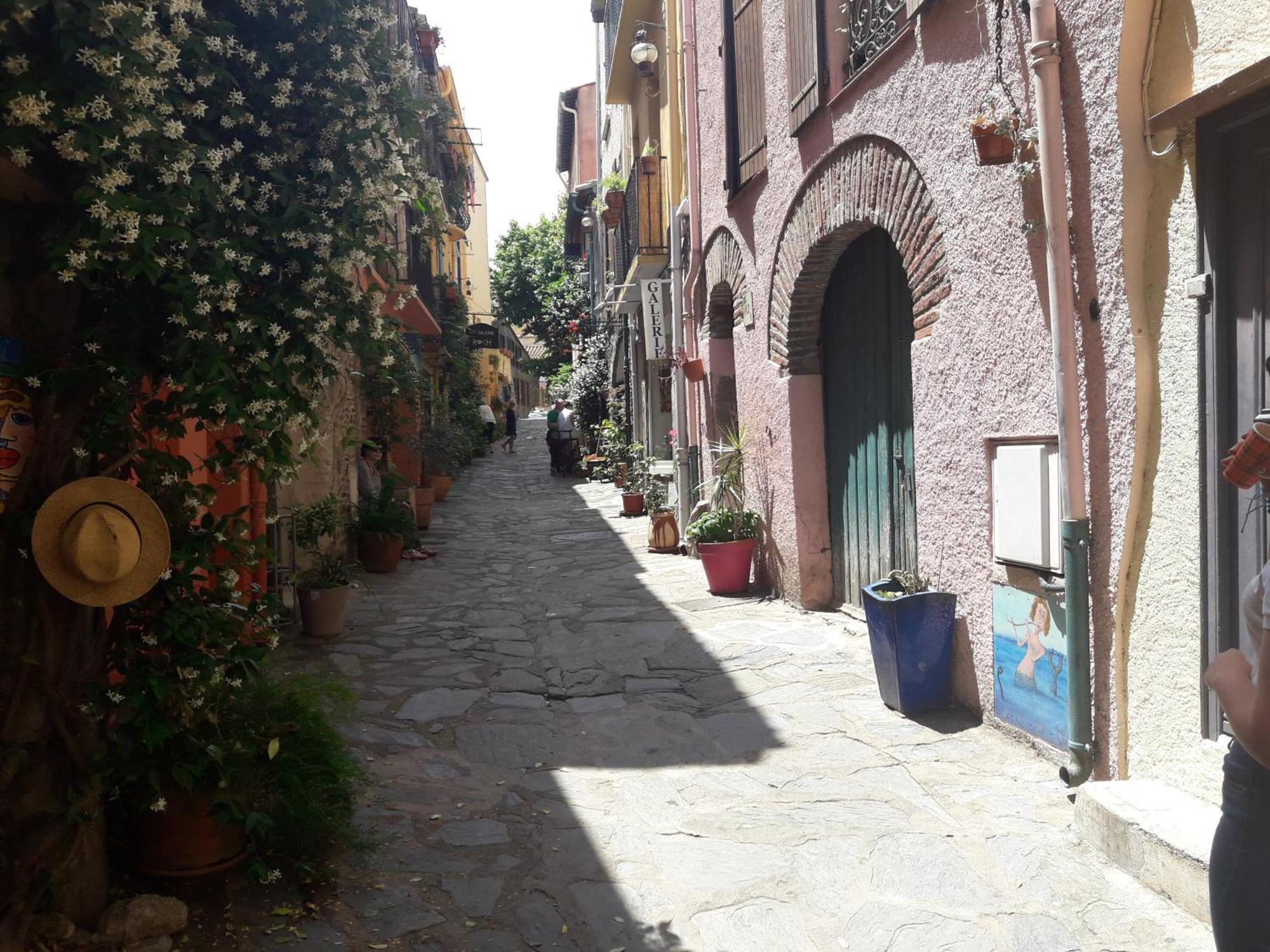 Mas Des Criques Villa Collioure Bagian luar foto